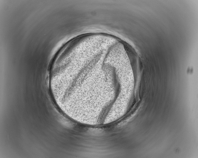 X0000090611509200708141340