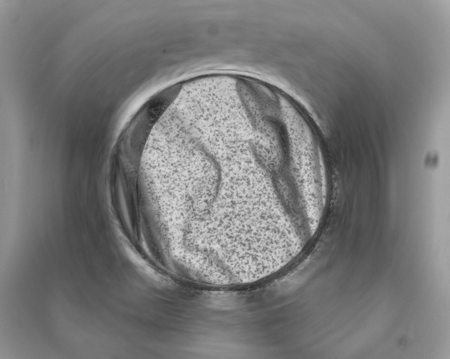 X0000090611511200708141340