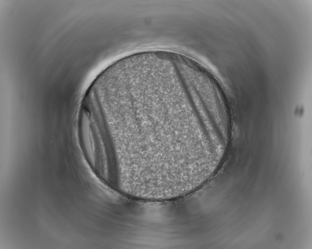 X0000090611512200708141340