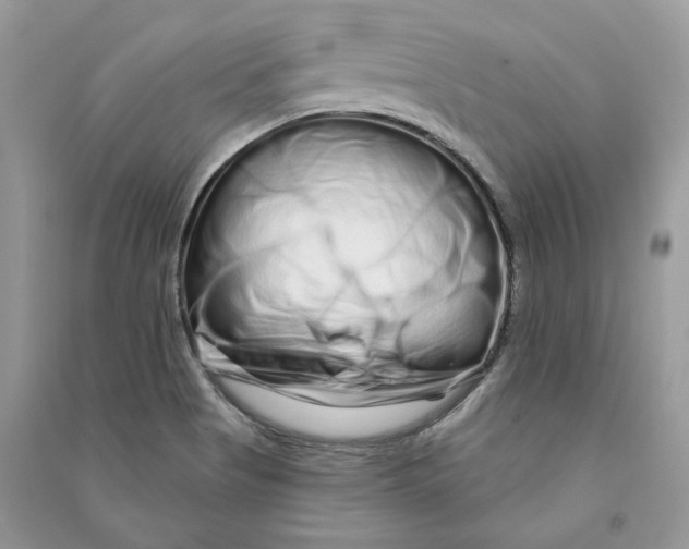 X0000090611513200708141340