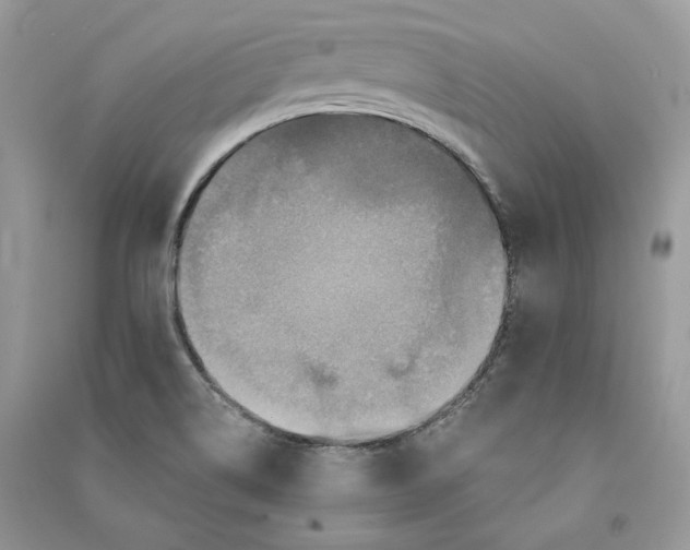 X0000090611514200708141340