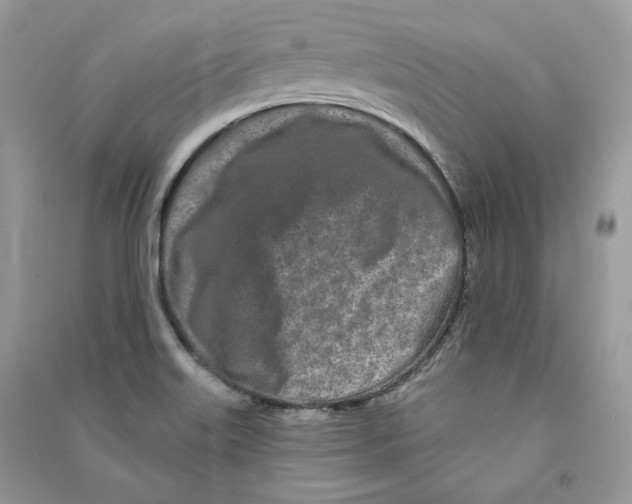 X0000090611515200708141340