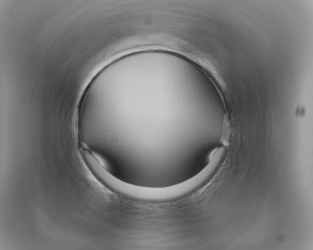 X0000090611516200708141340