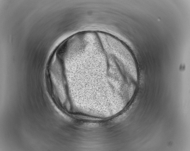 X0000090611517200708141340