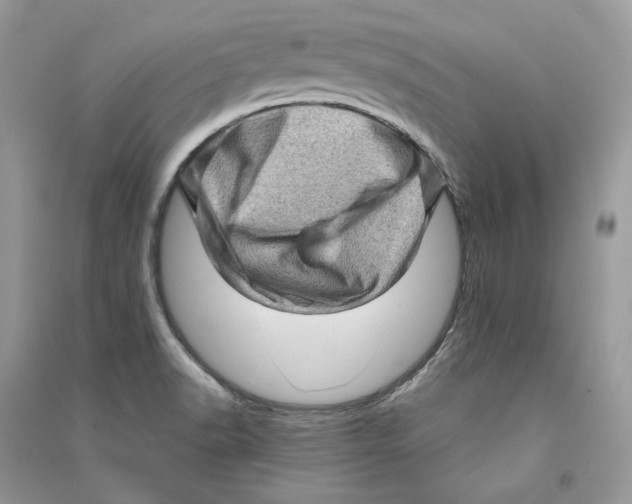 X0000090611518200708141340