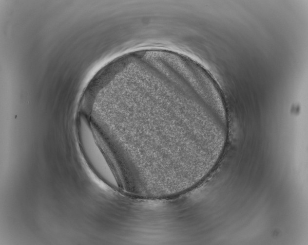 X0000090611519200708141340