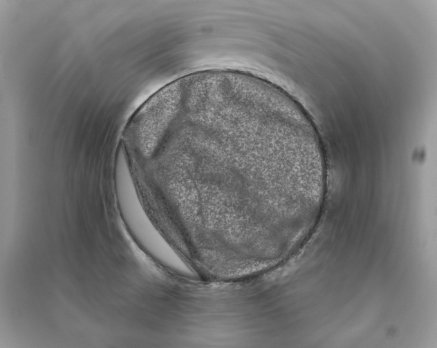 X0000090611521200708141340