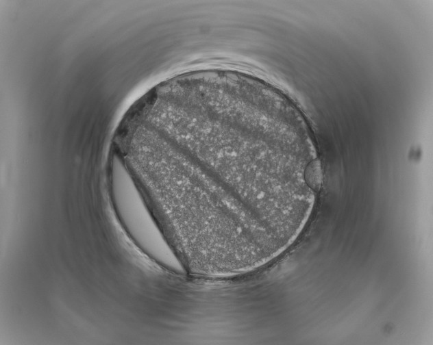 X0000090611522200708141341