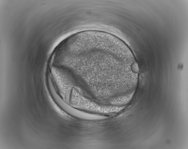 X0000090611523200708141341