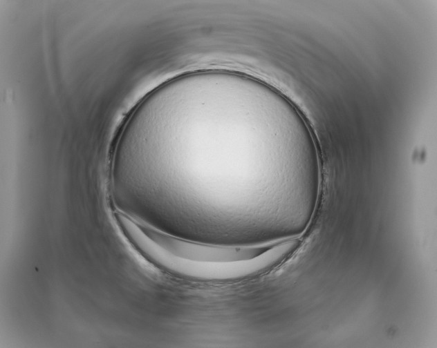 X0000090611525200708141341