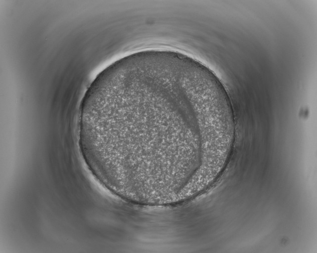 X0000090611526200708141341