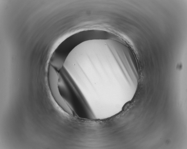 X0000090611528200708141341