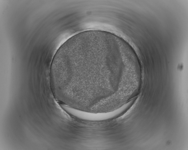 X0000090611529200708141341