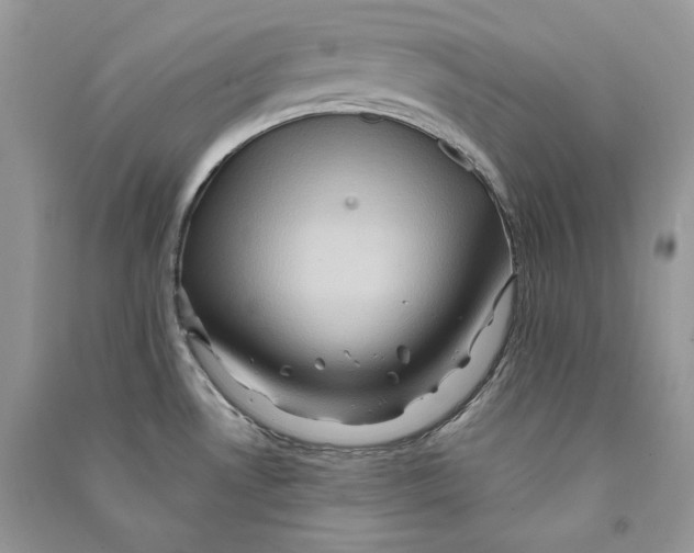 X0000090611530200708141341