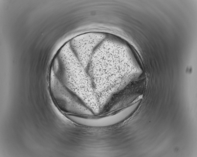 X0000090611531200708141341