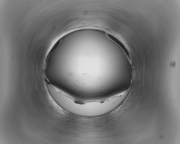 X0000090611532200708141341