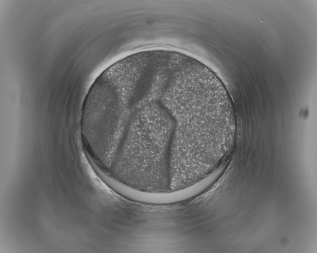 X0000090611534200708141341