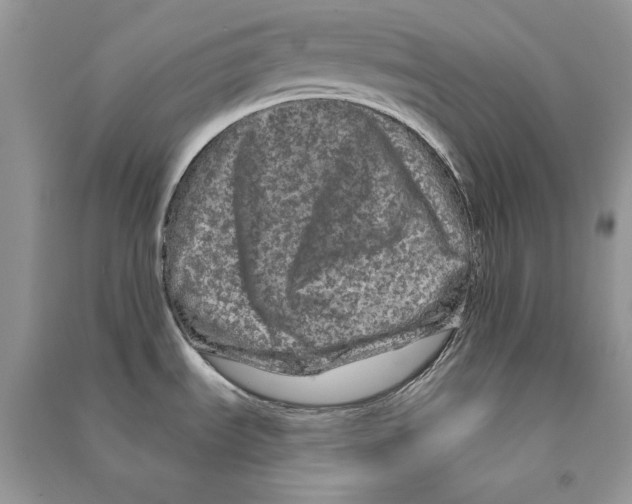 X0000090611535200708141341