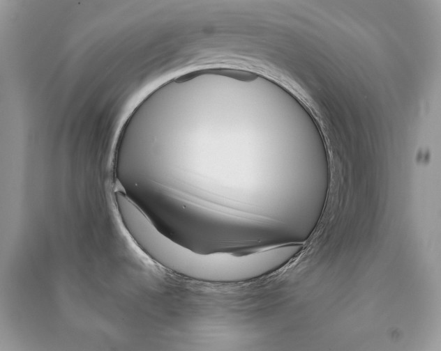 X0000090611536200708141341