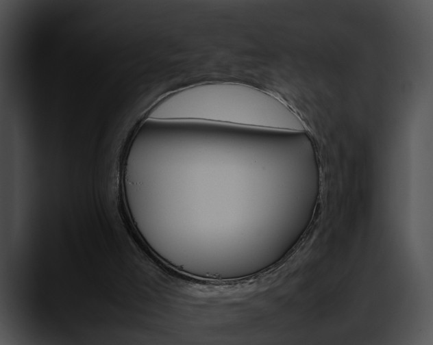 X0000090620005200707171111