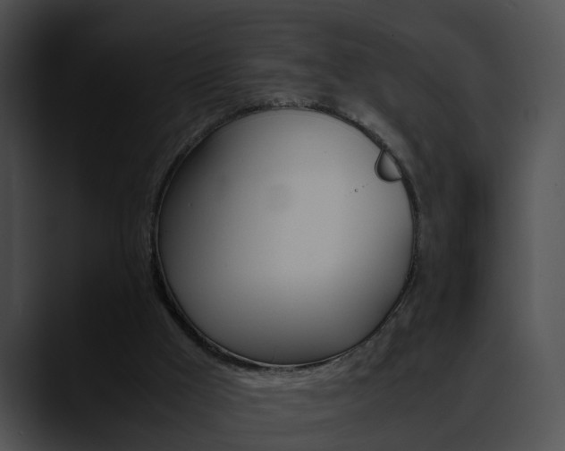 X0000090620009200707171111