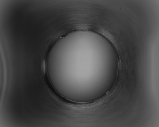 X0000090620013200707171111