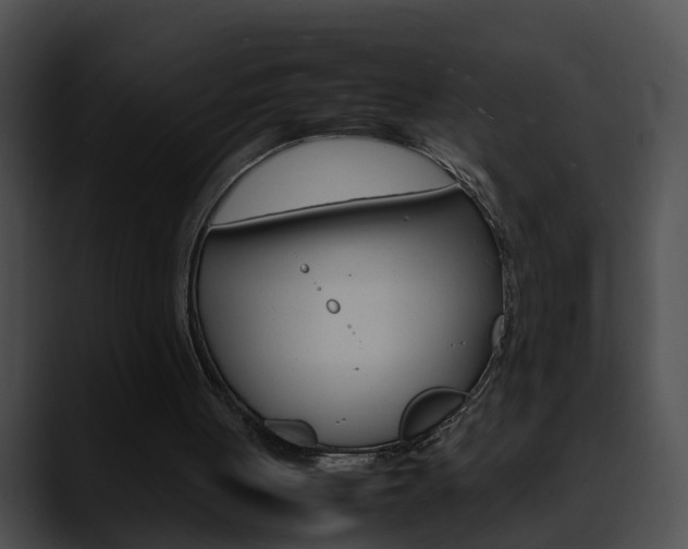 X0000090620051200707171110