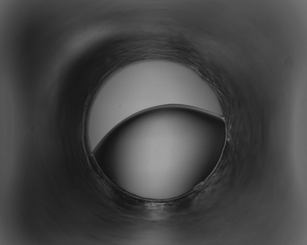 X0000090620052200707171110