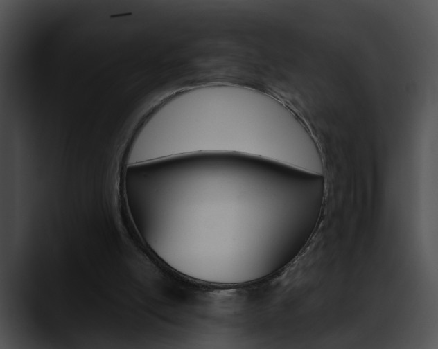 X0000090620054200707171110