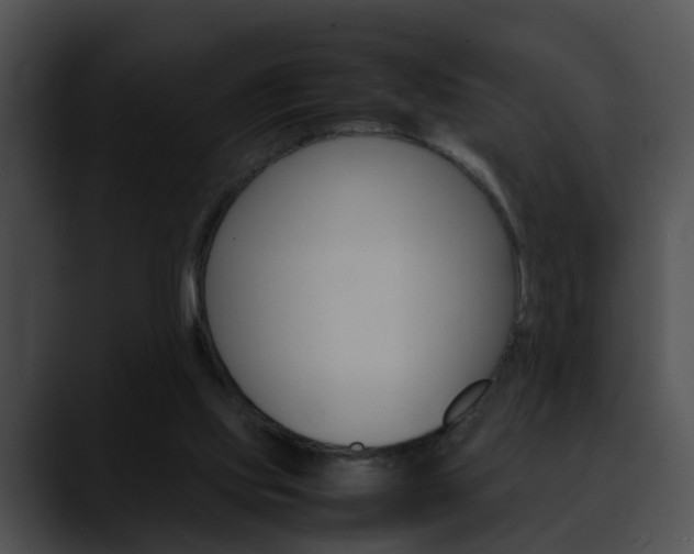 X0000090620061200707171110