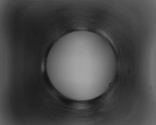 X0000090620069200707171110