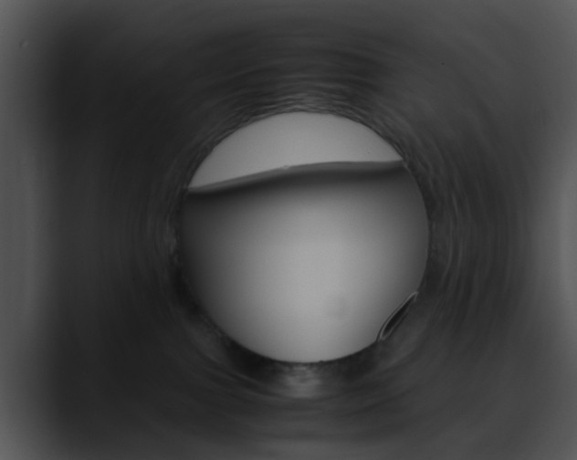X0000090620091200707171110