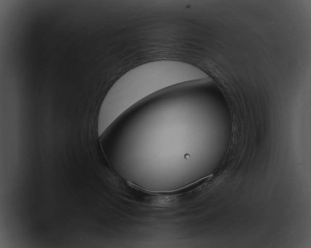 X0000090620096200707171110