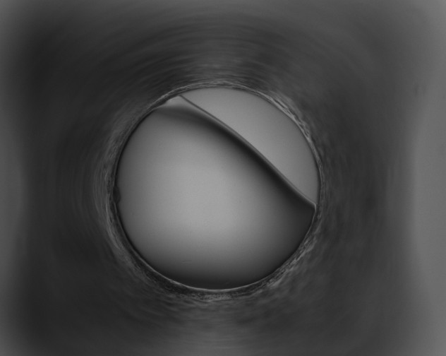 X0000090620097200707171110
