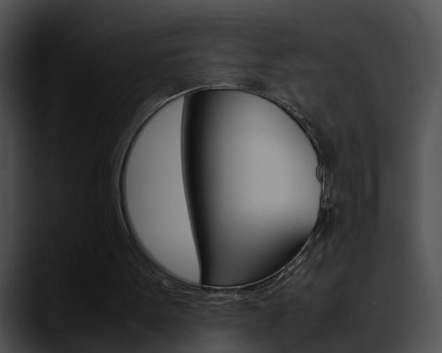 X0000090620099200707171110
