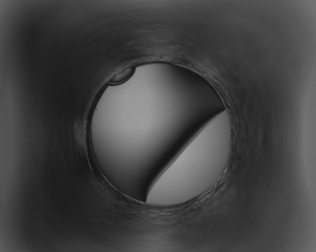 X0000090620100200707171110
