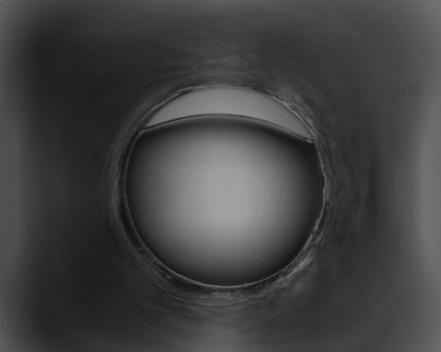 X0000090620101200707171110