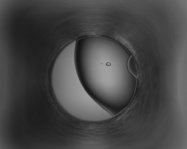 X0000090620105200707171110