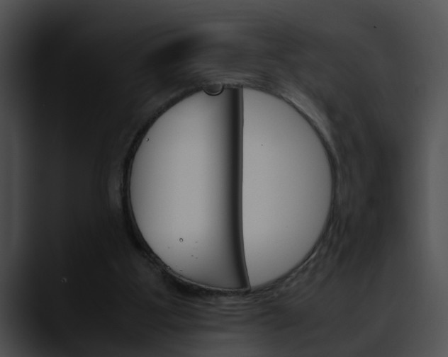 X0000090620107200707171110