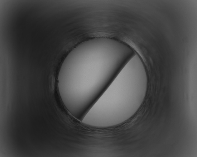 X0000090620109200707171110