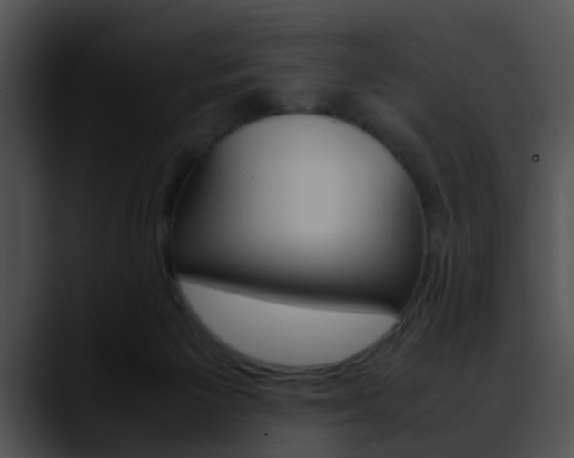 X0000090620125200707171110