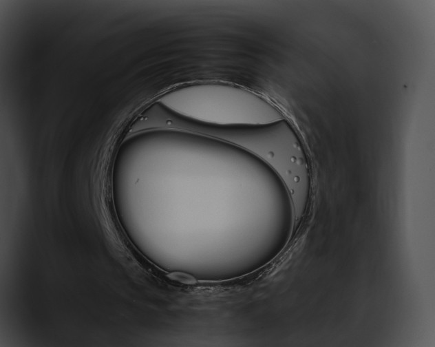 X0000090620145200707171109