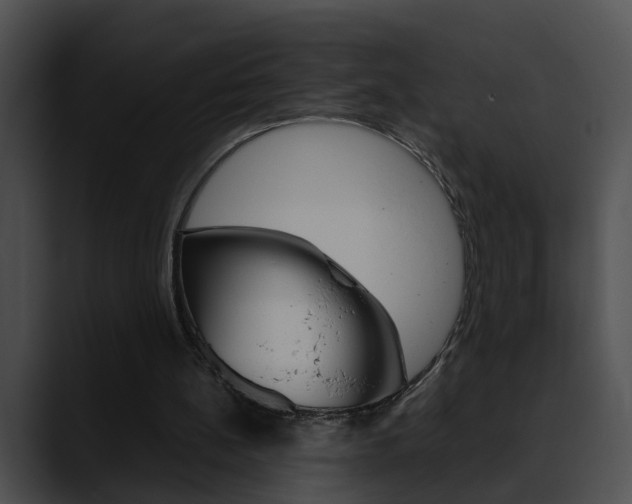 X0000090620148200707171109