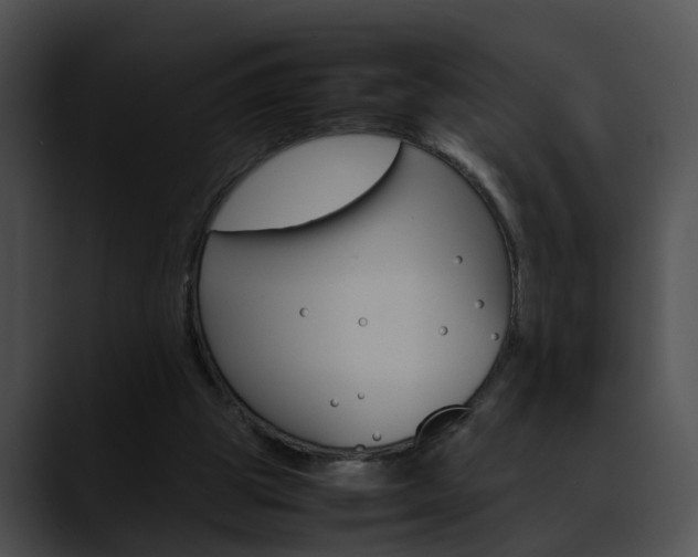 X0000090620153200707171109