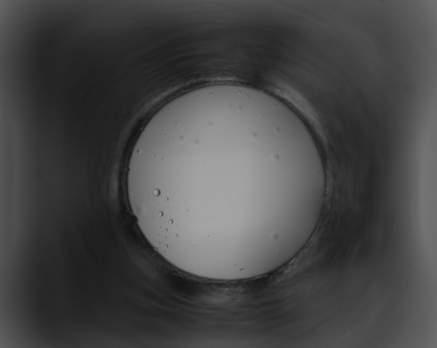 X0000090620155200707171109