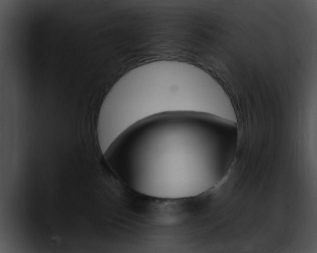 X0000090620186200707171109