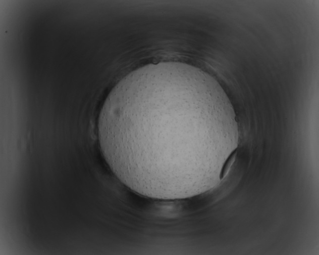 X0000090620187200707171109