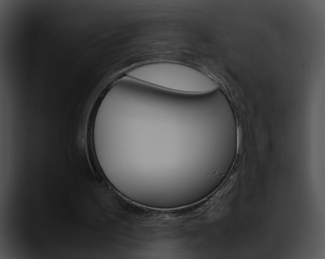 X0000090620195200707171109