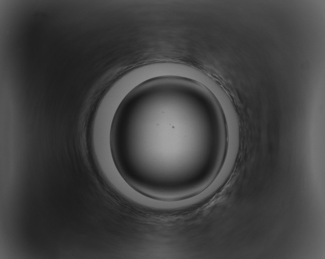 X0000090620197200707171109