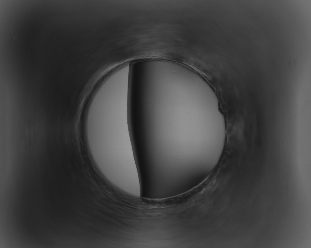 X0000090620200200707171109